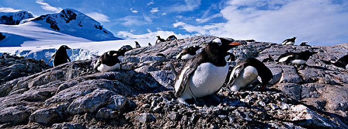 战略RPG新游《战场的弗伽》新宣传片 7月29日发售